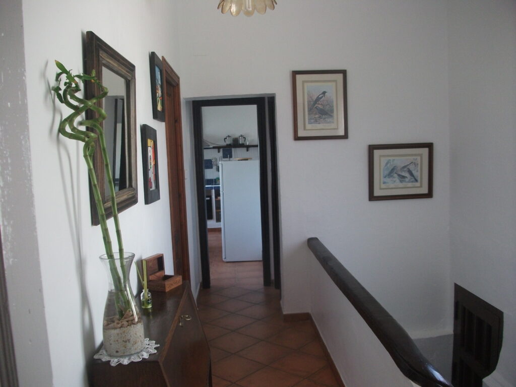 DSCF1648